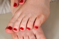 scarlet_rose.1023