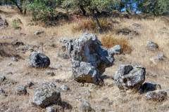 teakamesitas_naturegirl_02